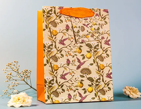 Printed Gift Bag