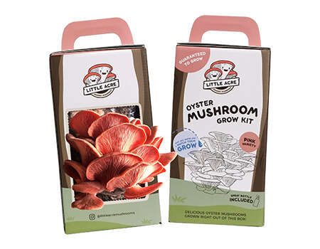 Bespoke Mushroom Growing Kit Boxes