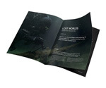 Custom Printed Brochures