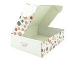 Corrugated Cardboard Printed Mailer and Postal Boxes