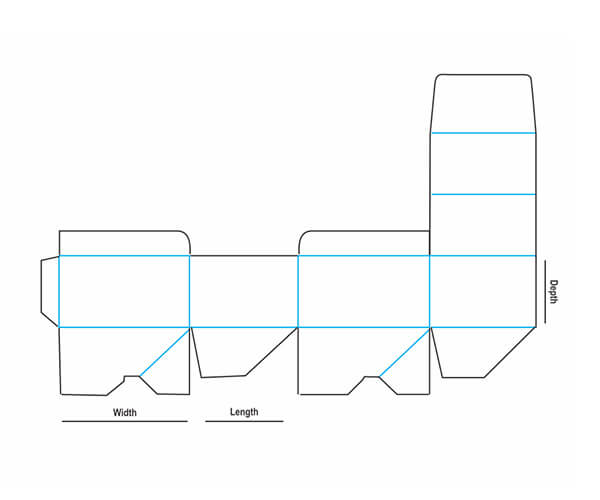 Display Box Auto Bottom Dieline