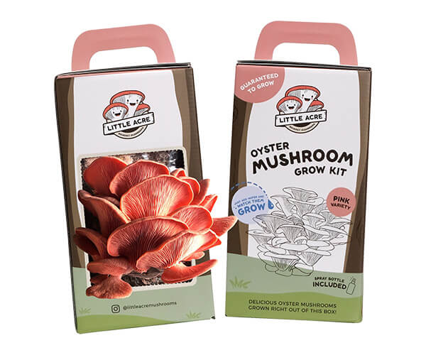 Mushroom Growing Kit Boxes