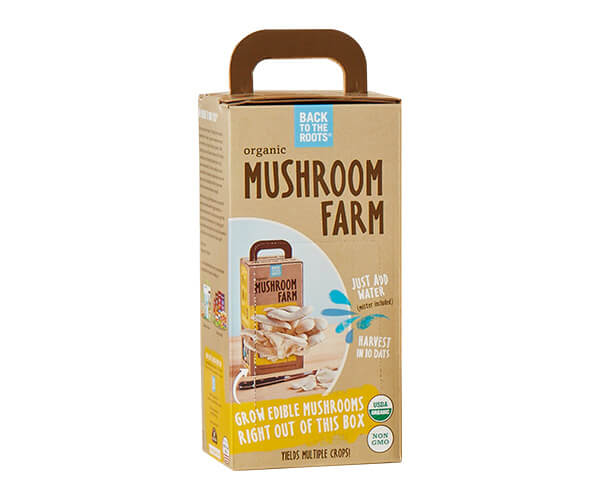 Custom Printed Mushroom Growing Kit Boxes