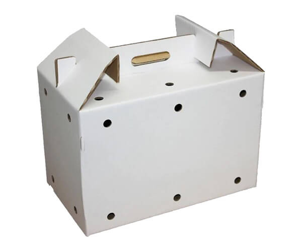 Cardboard pet cheap carrier boxes